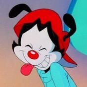 wakko warner